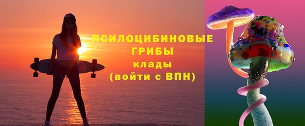 соль ск Алзамай
