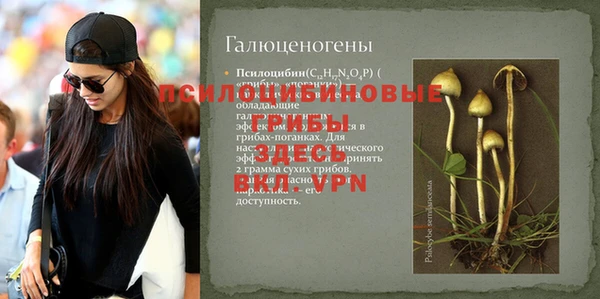 трава Абаза
