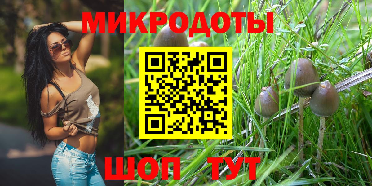 Псилоцибиновые грибы прущие грибы Тверь